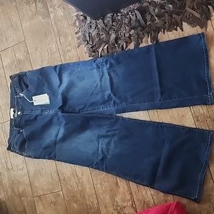 Risen Plus Size Women's Jeans